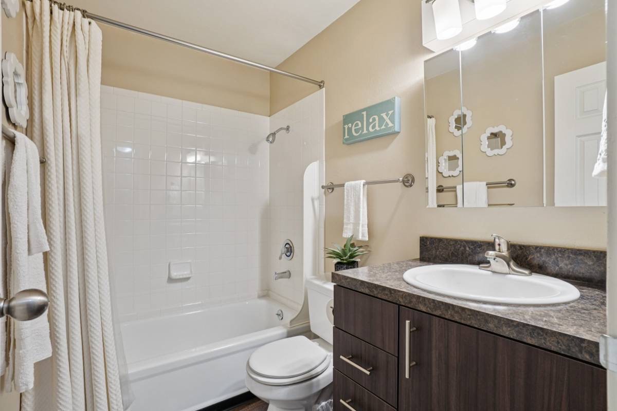 Renovated bathroom with dark vanity